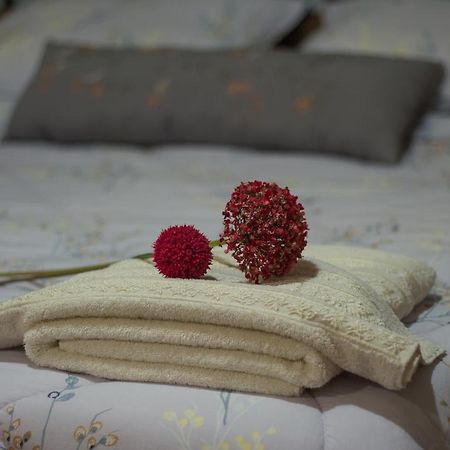 Akrolimnion Hotel Ioannina Eksteriør billede