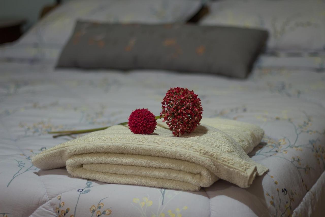 Akrolimnion Hotel Ioannina Eksteriør billede